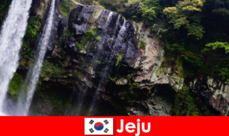 दक्षिण कोरिया में जीजू विदेशियों के लिए आश्चर्यजनक जंगलों के साथ उपोष्णकटिबंधीय ज्वालामुखी द्वीप