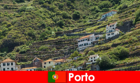 दुनिया भर से शराब प्रेमियों के लिए पोर्टो छुट्टी गंतव्य