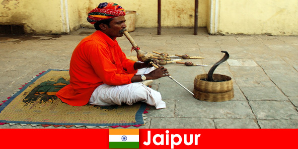 जयपुर भारत में, छुट्टियों की हलचल सड़कों में सांप नृत्य और मनोरंजन का अनुभव
