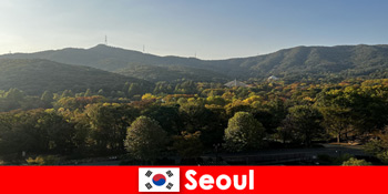 सियोल दक्षिण कोरिया के लिए लोकप्रिय समूह छुट्टी संकुल