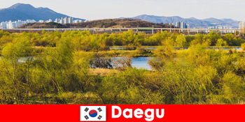 Daegu, दक्षिण कोरिया में शीर्ष स्वतंत्र यात्री युक्तियाँ