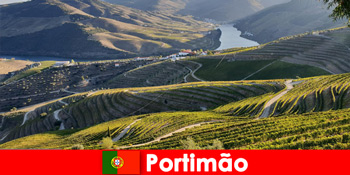 मेहमानों को पोर्टिमाओ पुर्तगाल के पहाड़ों पर शराब चखने और व्यंजनों से प्यार है