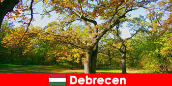 दिल की एक बहुत कुछ के साथ Debrecen हंगरी में पेंशनभोगियों के लिए स्पा छुट्टी